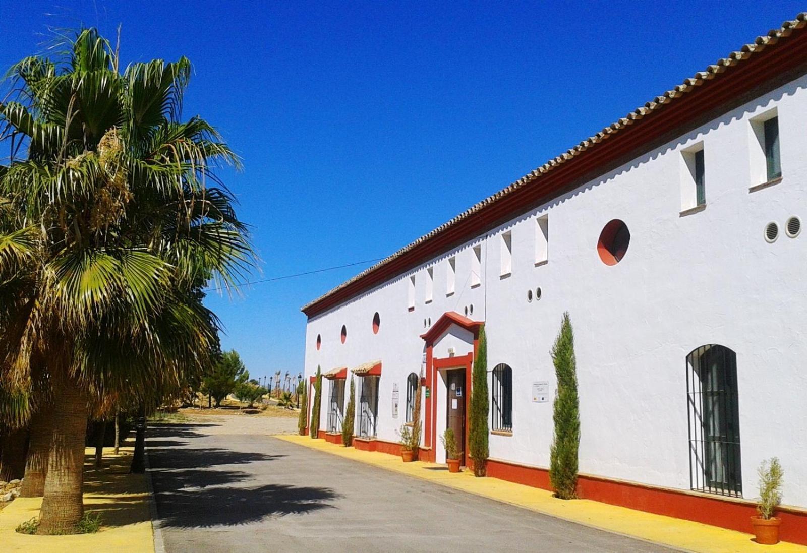 Complejo Pueblo Blanco Hotel Olvera Exterior photo